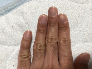 ツメ切って一週間(のはず…)